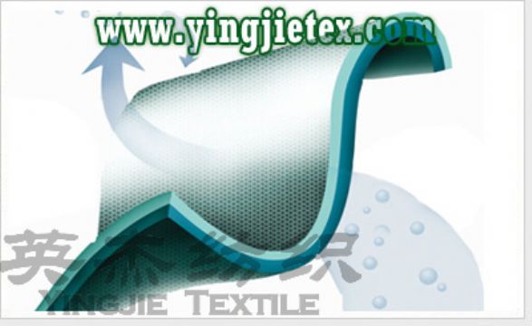 Jiangsu/Suzhou Moisture Absorption Perspiration Fabric Manufacturers & Suppliers